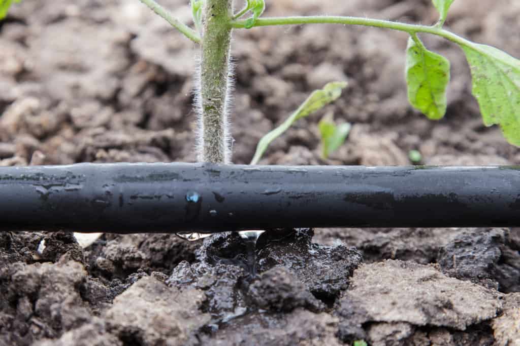 how-to-irrigate-without-wasting-water