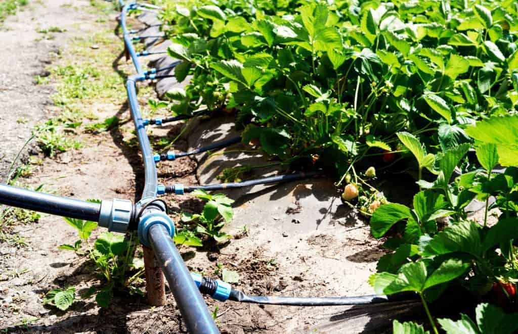 Smart Agricultural Irrigation Helps Conserve One of Our Most Precious Resources - Water
