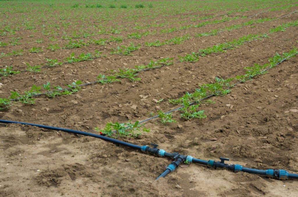 Smart Irrigation Tips in 2021