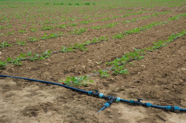 Smart Irrigation Tips in 2021