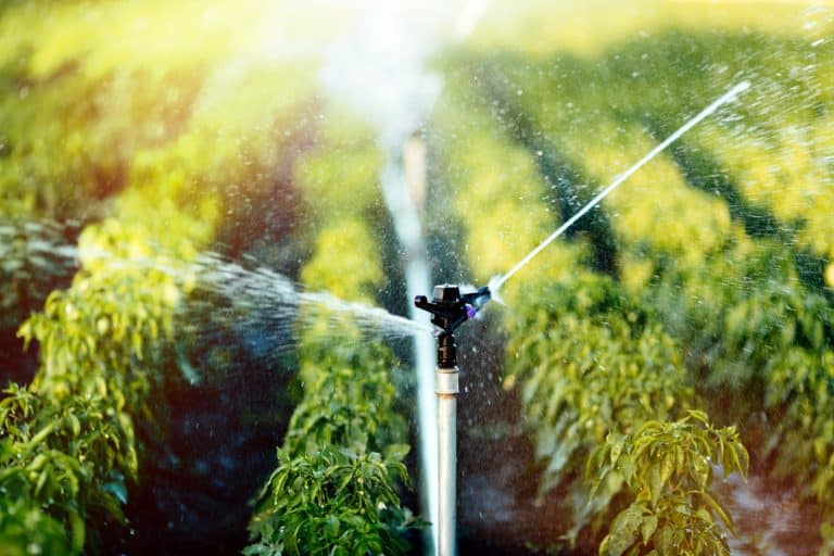 The Basics Of Agricultural Irrigation