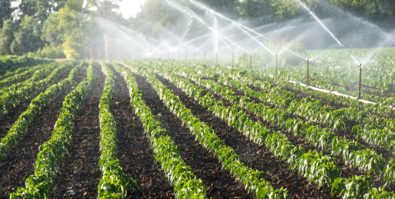 Understanding Agricultural Sprinkler Irrigation Systems
