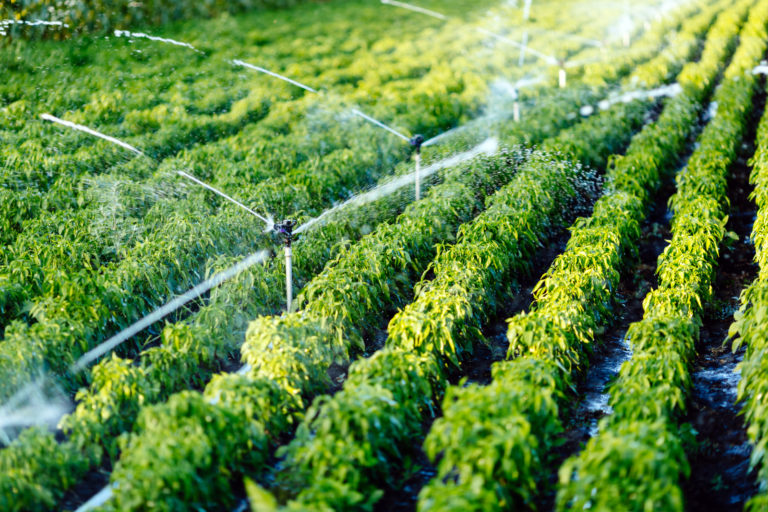 Best Practices to Maintain Your Agricultural Irrigation System