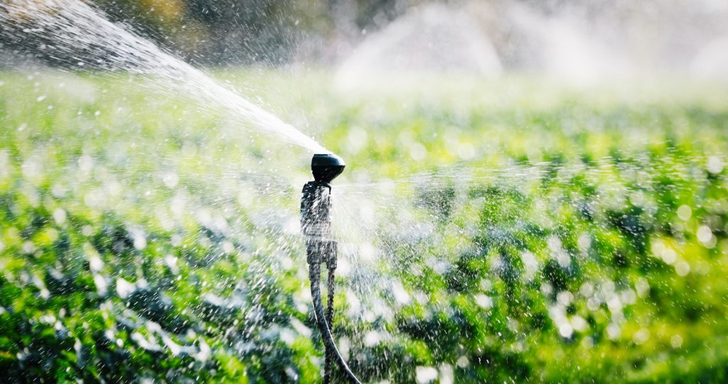 How To Determine And Track Irrigation Run Times In Southern Florida