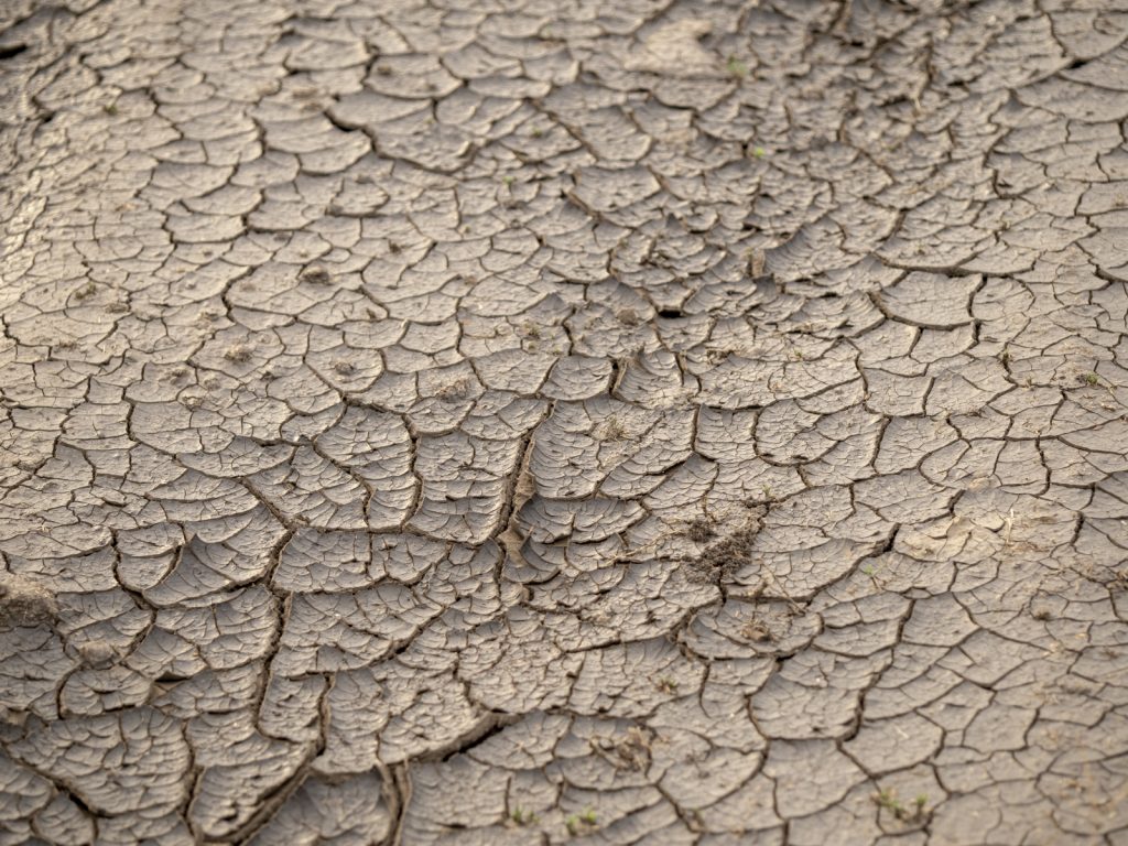 How to Prevent Caked Soil