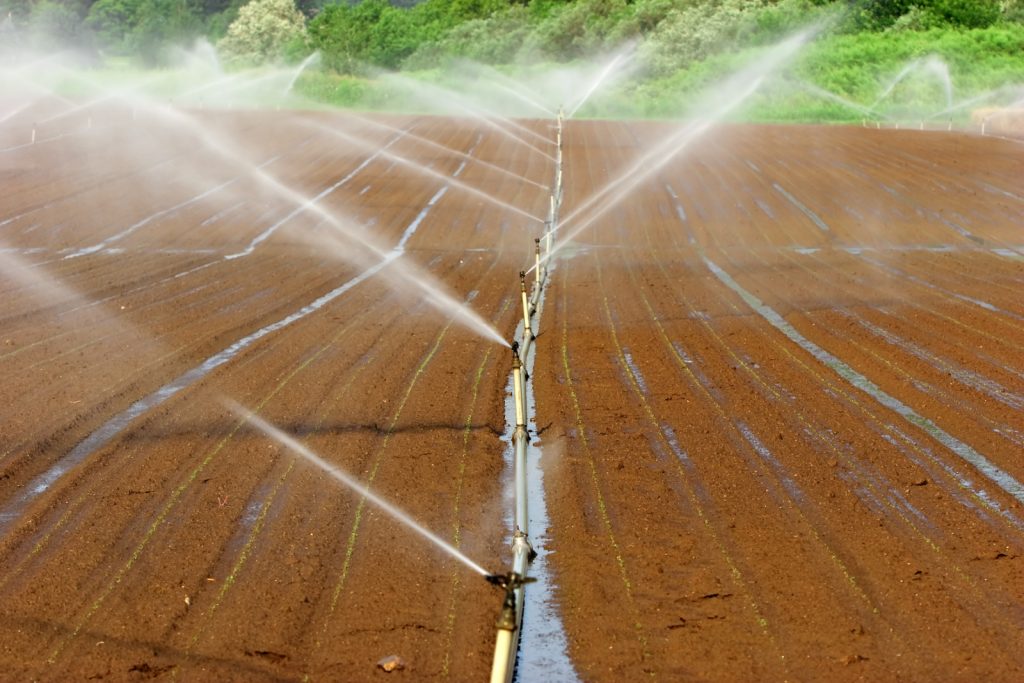 Myths and Misconceptions About Agricultural Irrigation