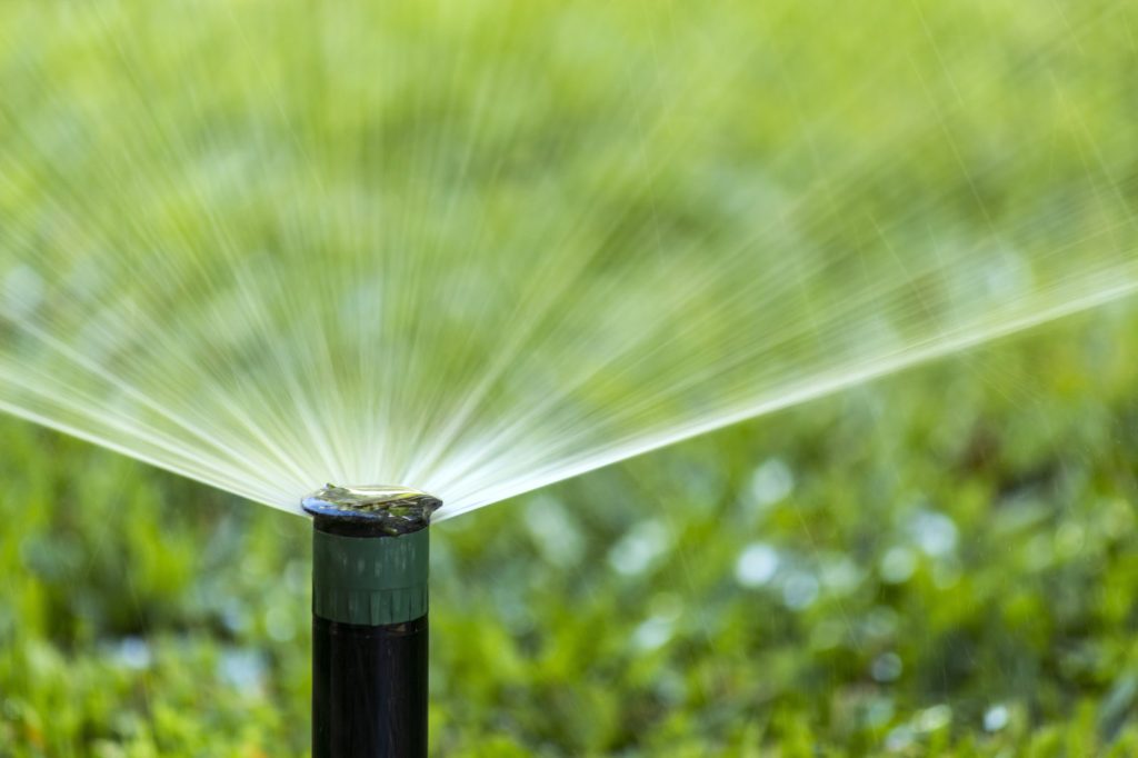 July is Smart Irrigation Month: How to Go About Celebrating Smart Water Conservation