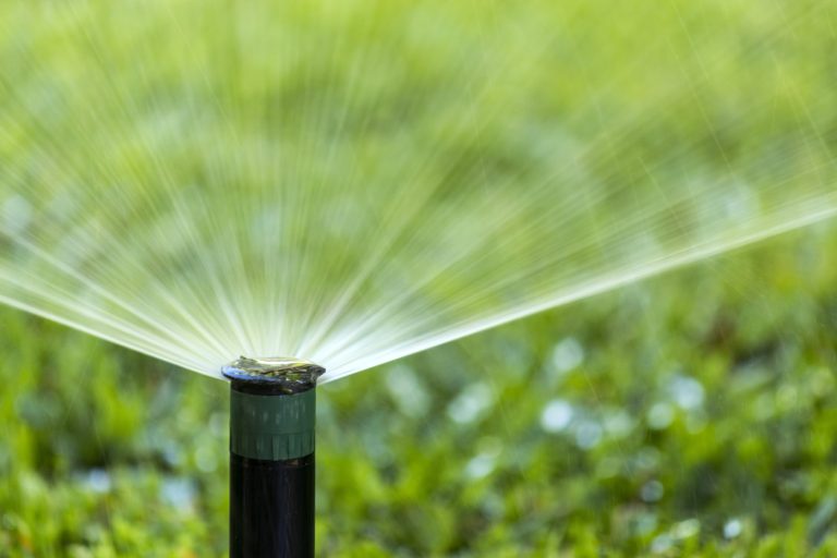 July is Smart Irrigation Month: How to Go About Celebrating Smart Water Conservation