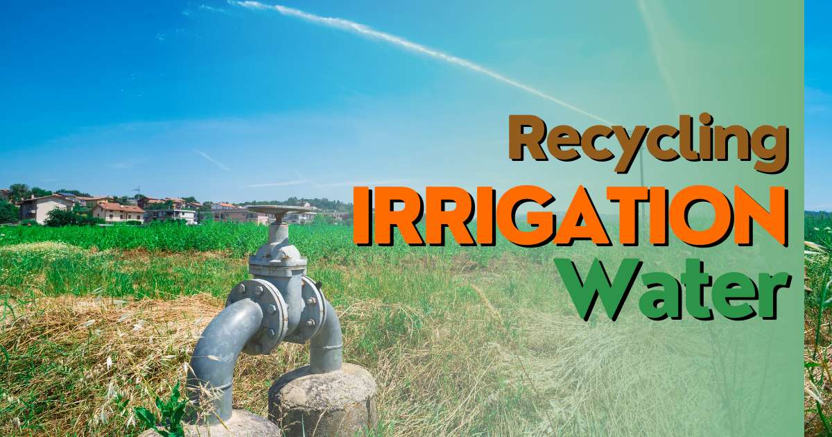 Recycling Irrigation Water