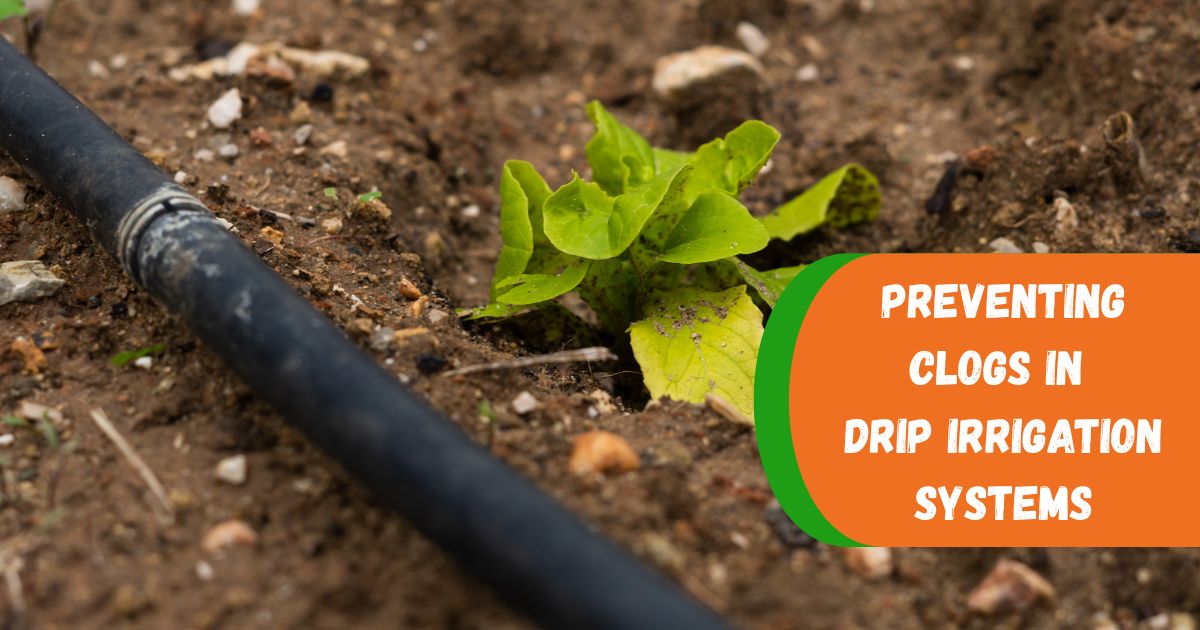 Preventing Clogs in Drip Irrigation Systems - Southwest Florida Service ...