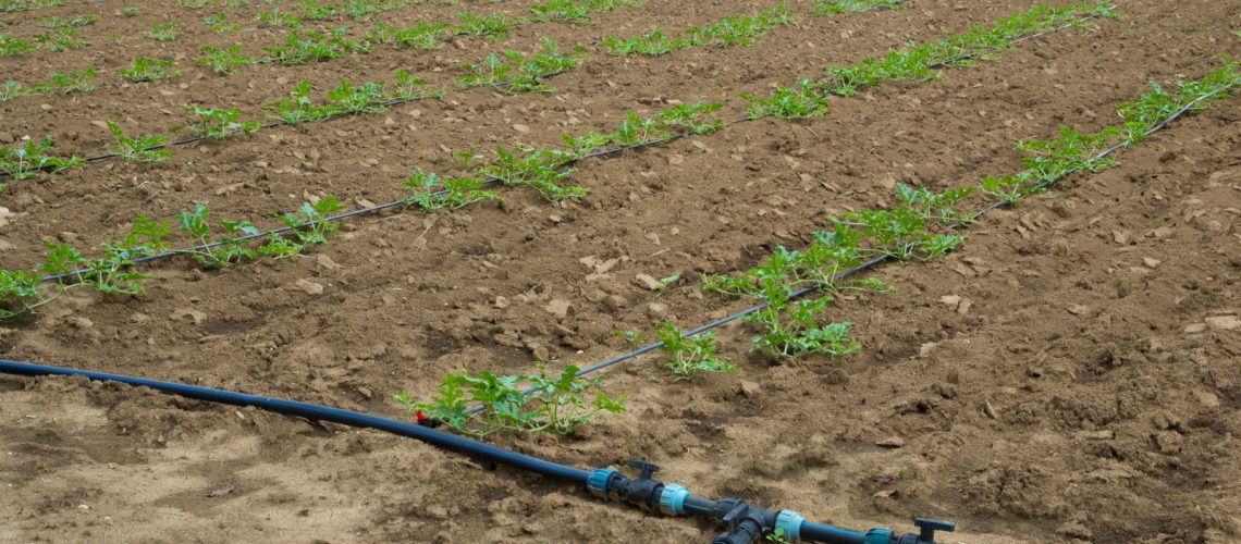 5 Essential Considerations to Make When Selecting an Agricultural Irrigation Supply