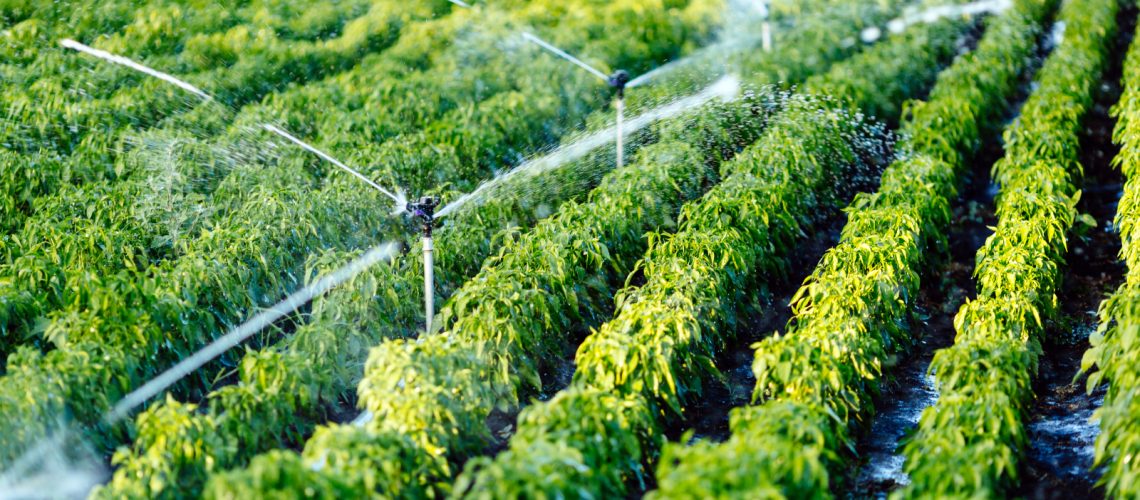 Best Practices to Maintain Your Agricultural Irrigation System