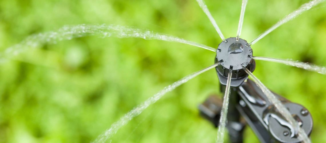 Change The Way You Hydrate Your Florida Citrus With A Micro-Sprinkler Irrigation System