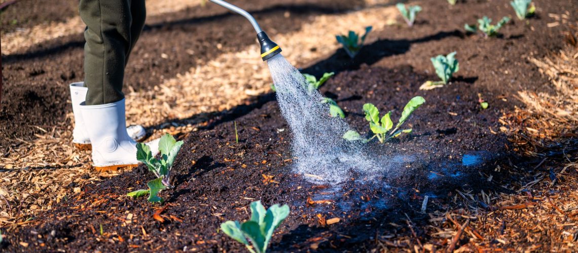 Eco-Conscious Approaches to Water Use in Agriculture