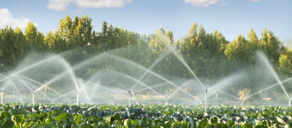 How to Maximize Yield with Irrigation Scheduling