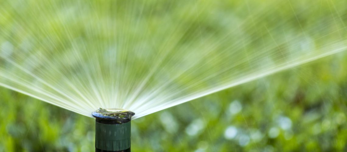 July is Smart Irrigation Month: How to Go About Celebrating Smart Water Conservation