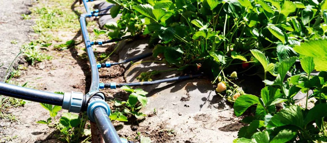 Smart Agricultural Irrigation Helps Conserve One of Our Most Precious Resources - Water