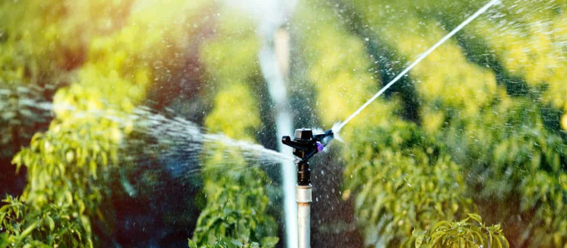 The Basics Of Agricultural Irrigation