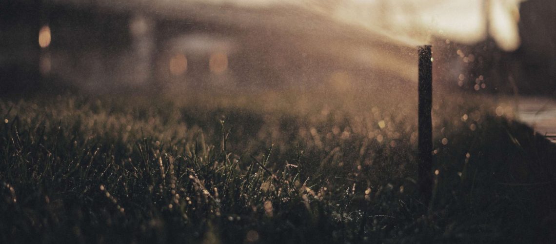 The Truth About Watering Grass at Night and Optimal Watering Times