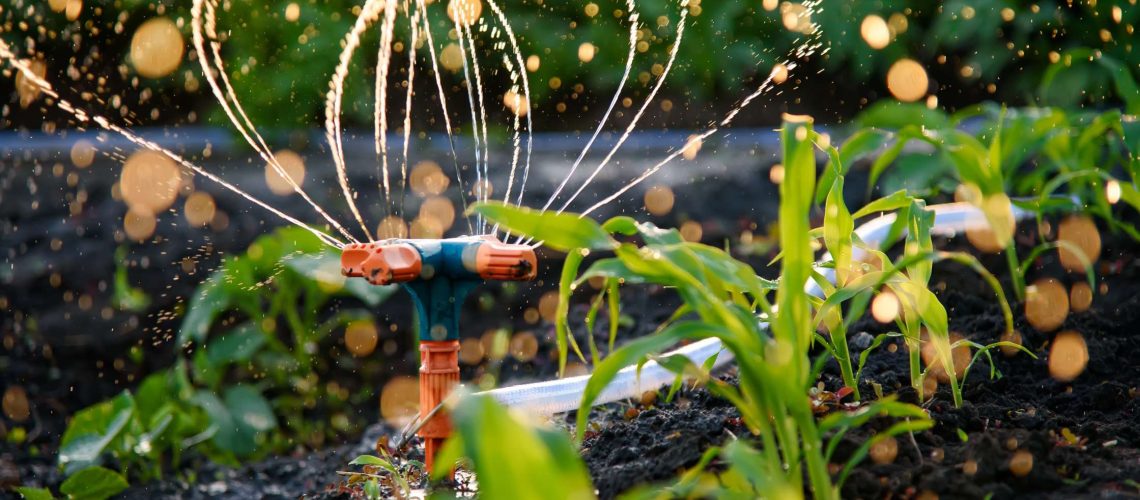 Tips For Efficient Irrigation For Edible Landscapes