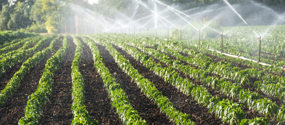 Understanding Agricultural Sprinkler Irrigation Systems