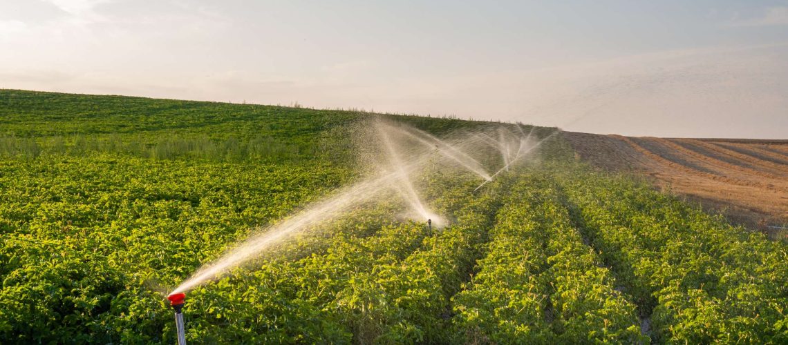 What Irrigation System is Most Efficient for Row Crops