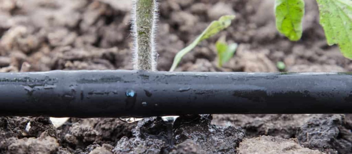 how-to-irrigate-without-wasting-water